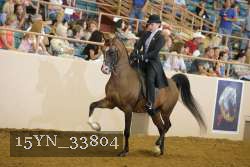 15YN_33804 thumbnail
