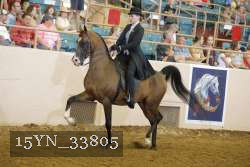 15YN_33805 thumbnail