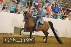 15YN_33806 thumbnail
