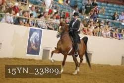 15YN_33809 thumbnail