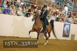 15YN_33810 thumbnail
