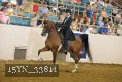 15YN_33811 thumbnail