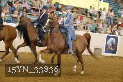15YN_33836 thumbnail