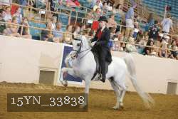 15YN_33838 thumbnail