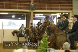 15YN_33843 thumbnail
