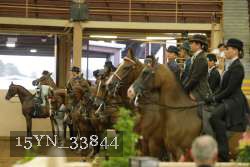 15YN_33844 thumbnail