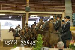 15YN_33845 thumbnail