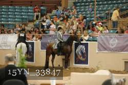 15YN_33847 thumbnail
