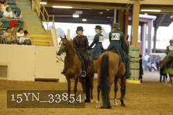 15YN_33854 thumbnail