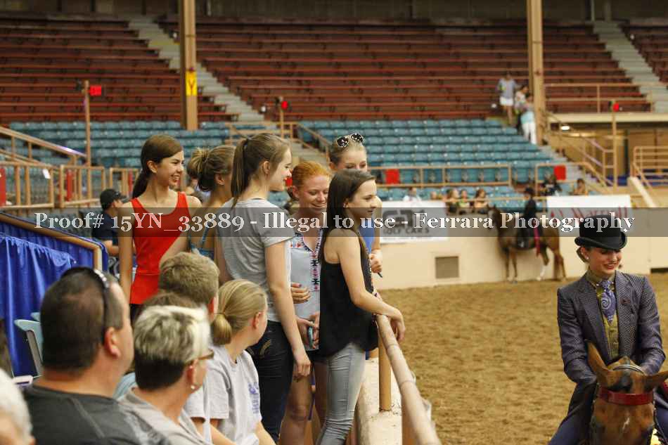 Proof Number 15YN_33889