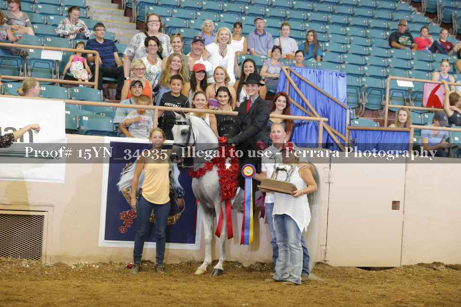Proof Number 15YN_34035