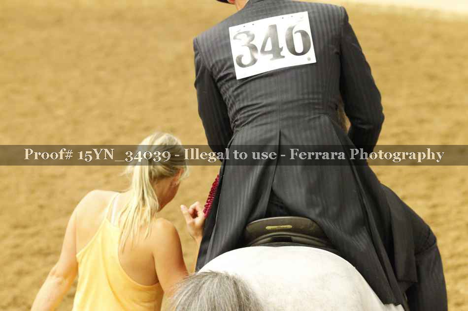 Proof Number 15YN_34039