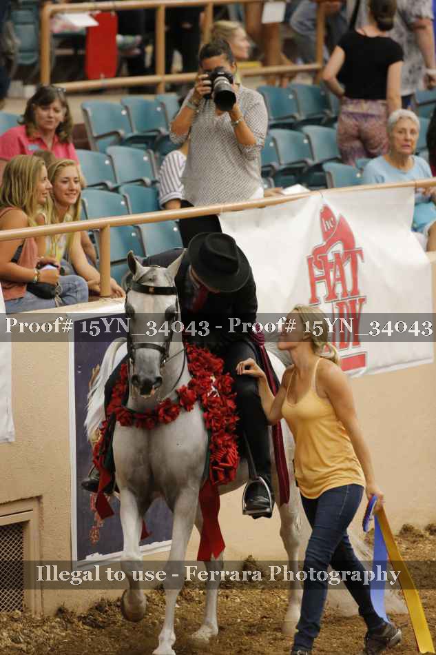 Proof Number 15YN_34043