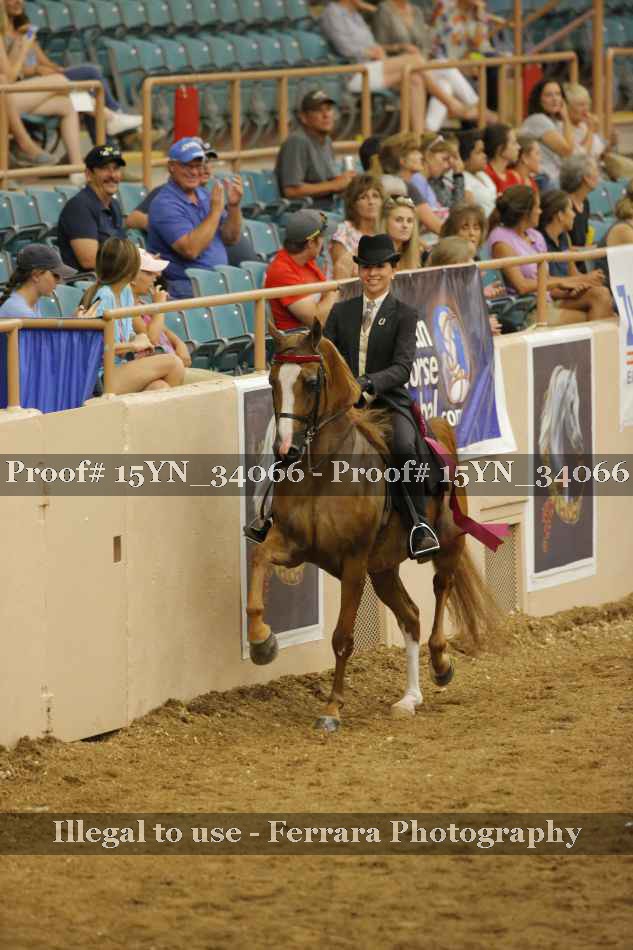 Proof Number 15YN_34066