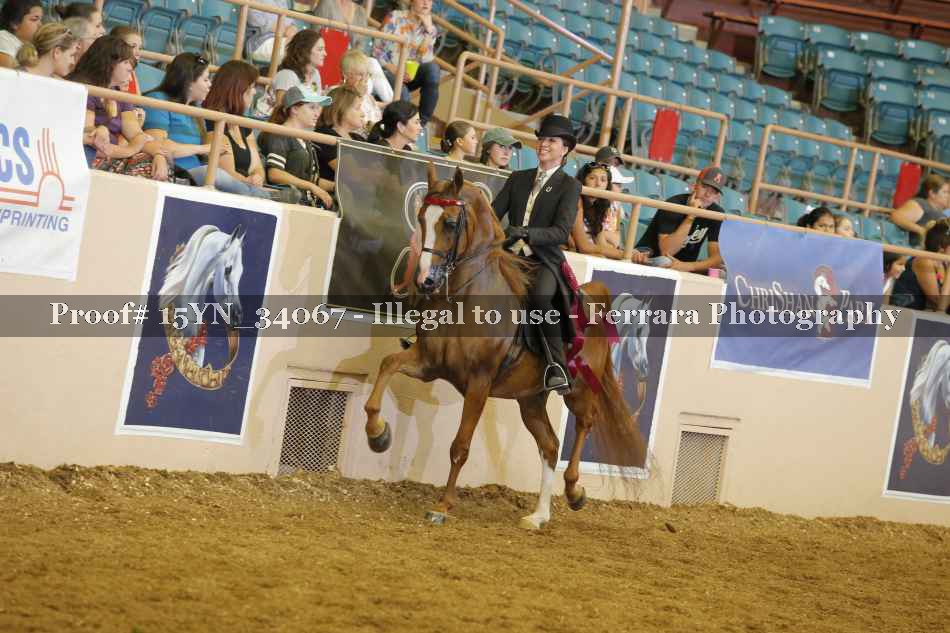 Proof Number 15YN_34067