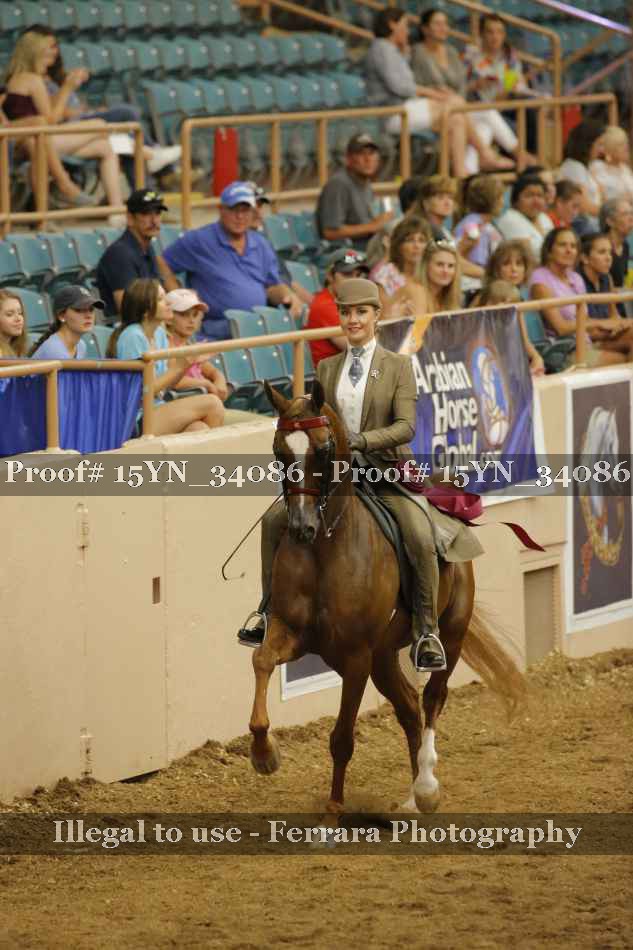 Proof Number 15YN_34086