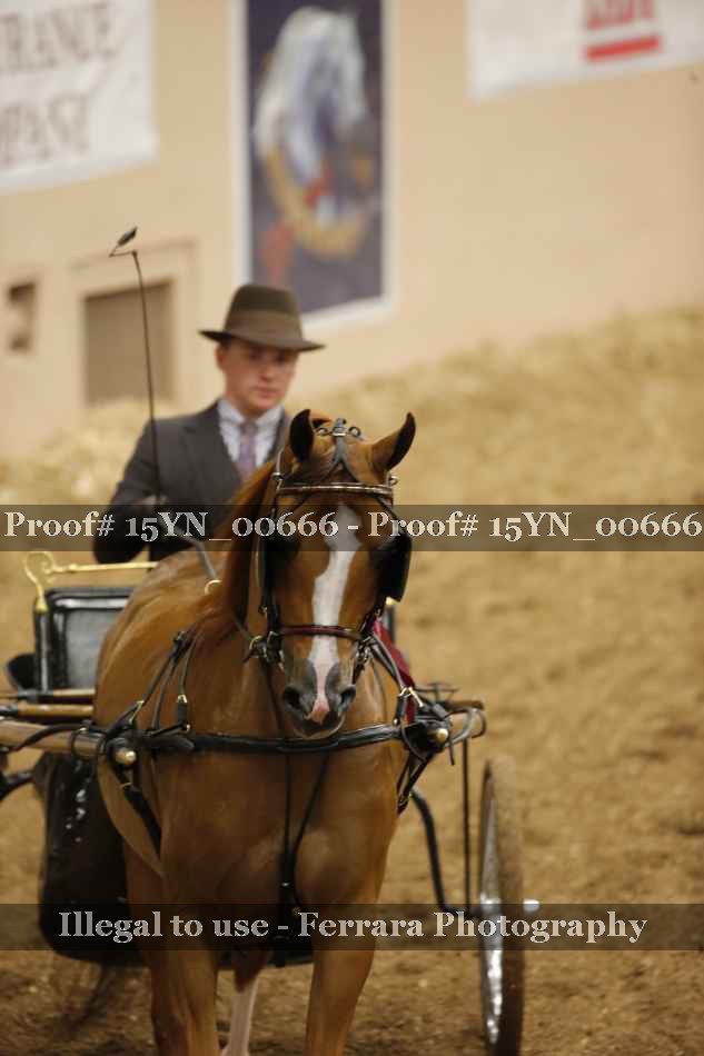 Proof Number 15YN_00666