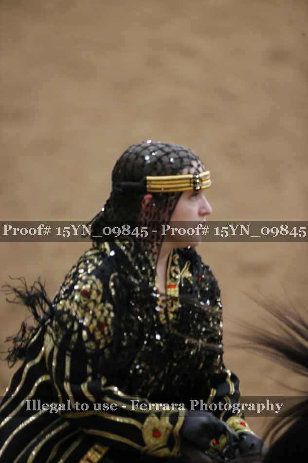 Proof Number 15YN_09845