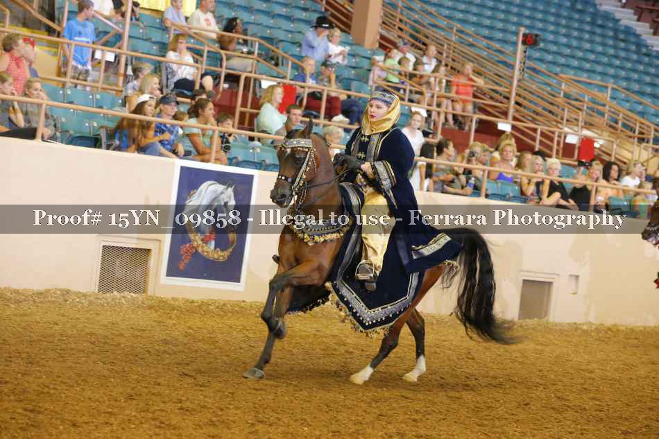 Proof Number 15YN_09858