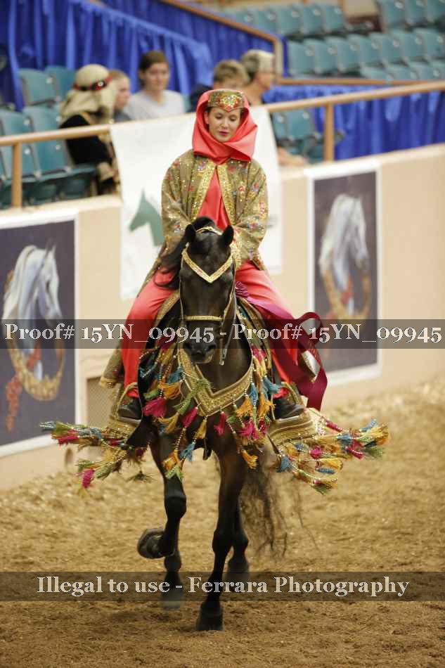 Proof Number 15YN_09945