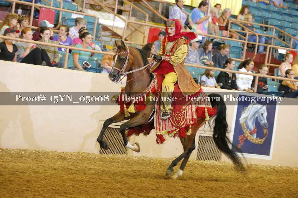Proof Number 15YN_05008