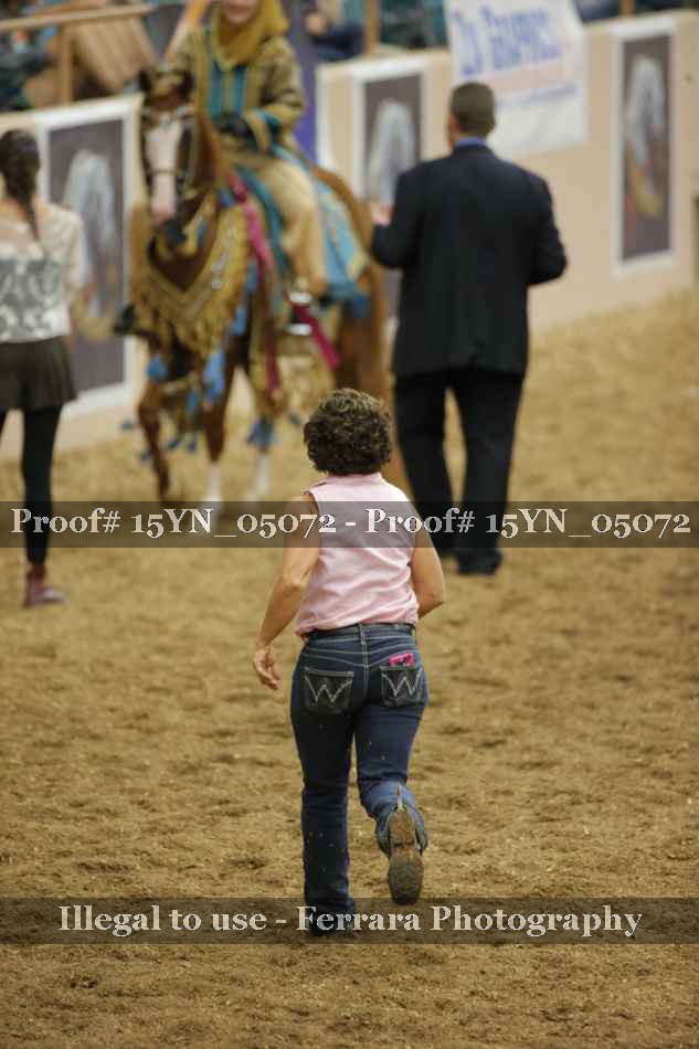 Proof Number 15YN_05072