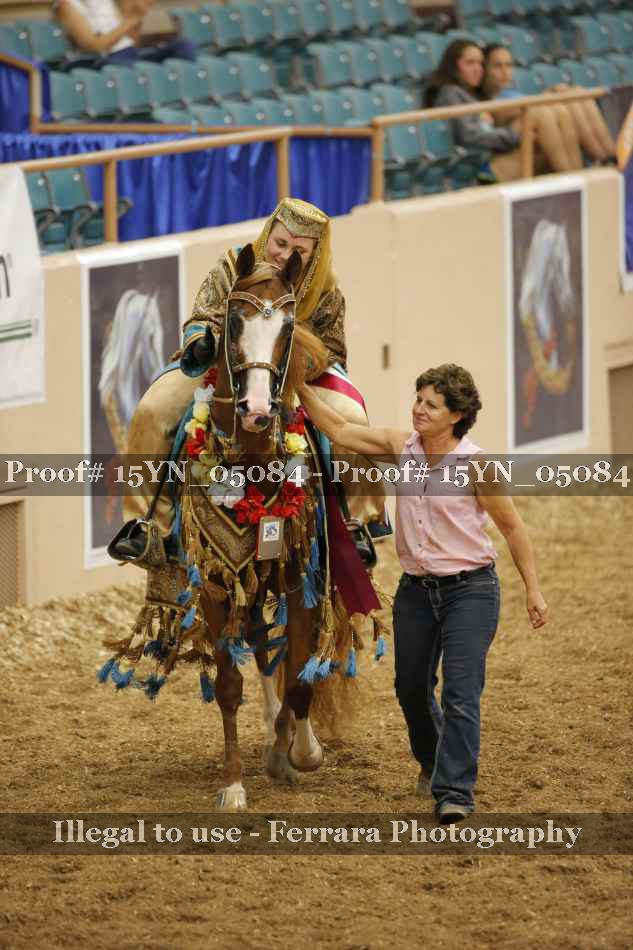 Proof Number 15YN_05084