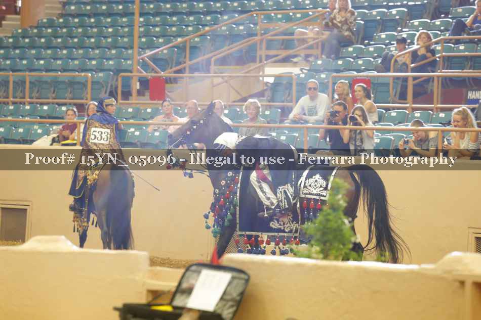 Proof Number 15YN_05096