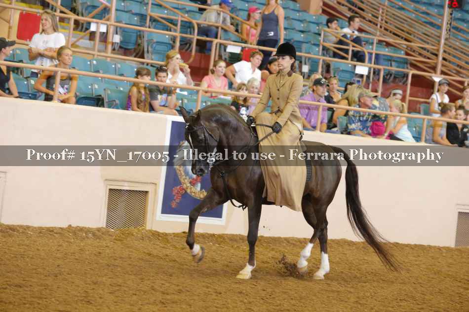 Proof Number 15YN_17005
