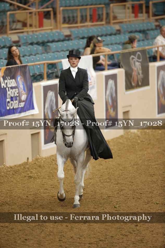 Proof Number 15YN_17028