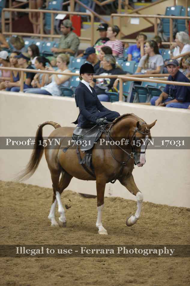 Proof Number 15YN_17031