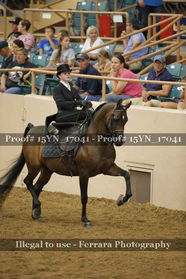Proof Number 15YN_17041