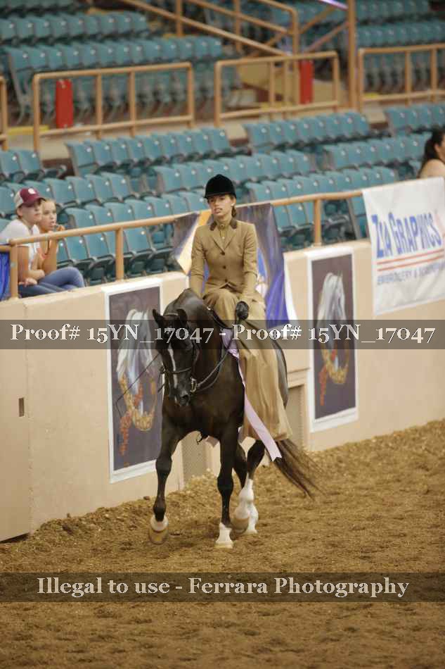 Proof Number 15YN_17047