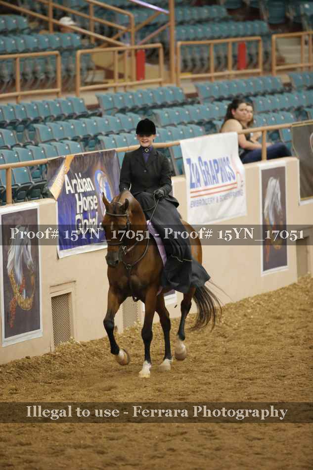 Proof Number 15YN_17051