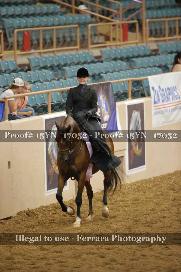 Proof Number 15YN_17052