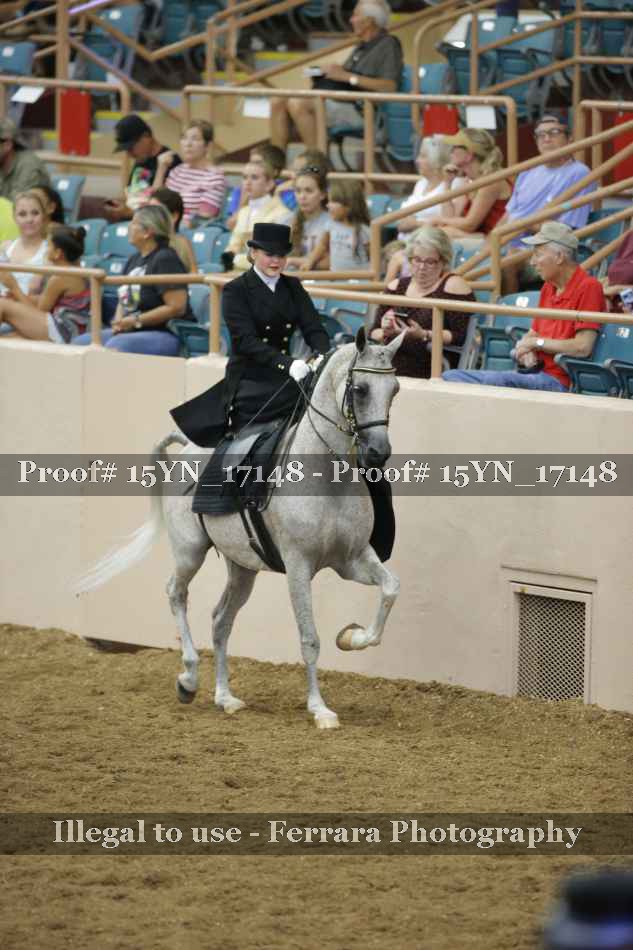 Proof Number 15YN_17148