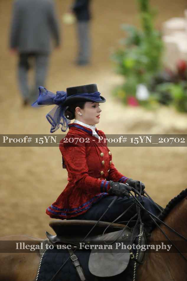 Proof Number 15YN_20702