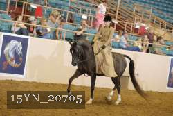 15YN_20705 thumbnail