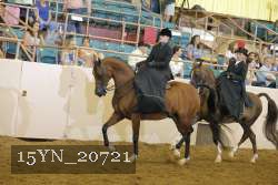 15YN_20721 thumbnail