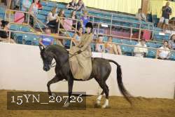 15YN_20726 thumbnail