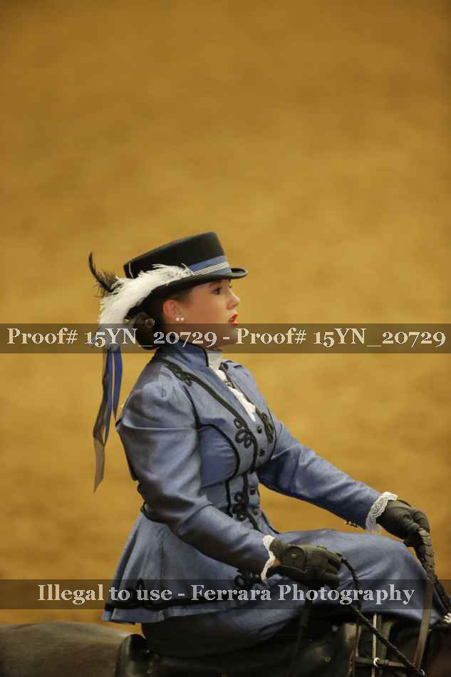 Proof Number 15YN_20729