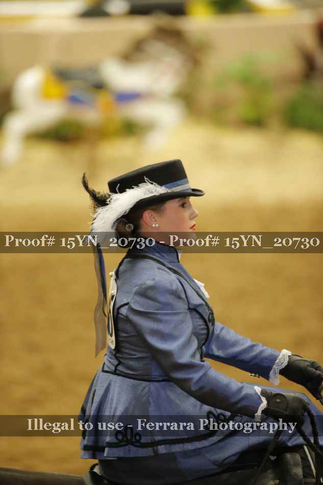 Proof Number 15YN_20730