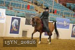 15YN_20826 thumbnail