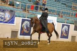 15YN_20827 thumbnail