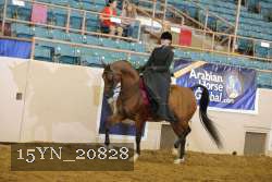 15YN_20828 thumbnail