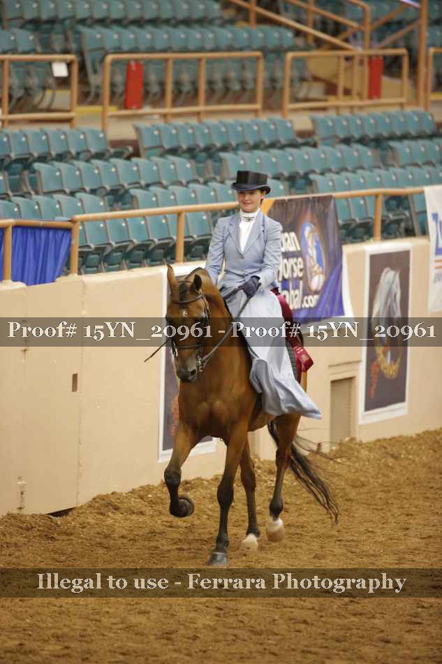 Proof Number 15YN_20961