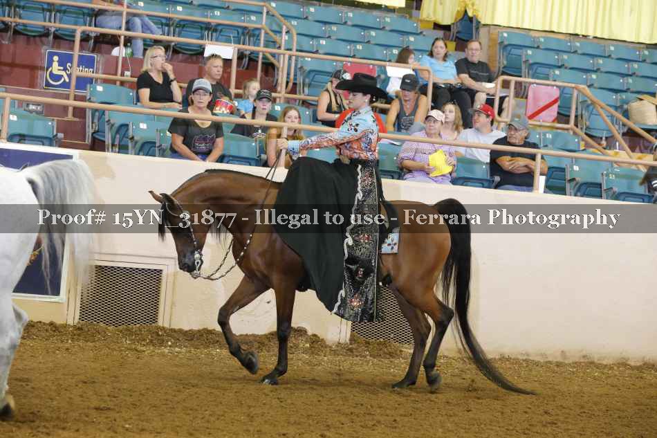 Proof Number 15YN_31877
