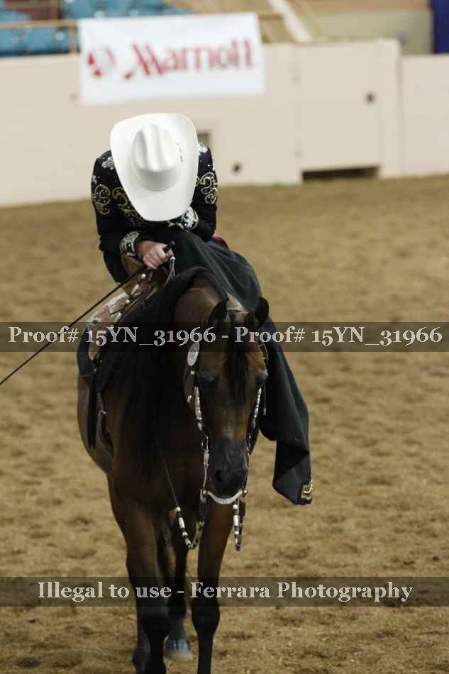 Proof Number 15YN_31966