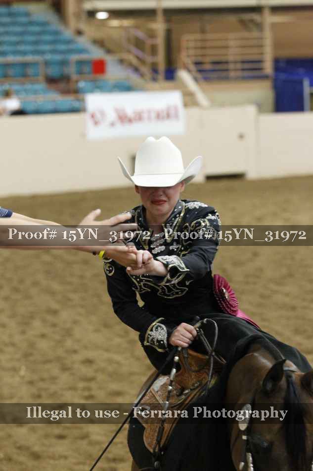 Proof Number 15YN_31972