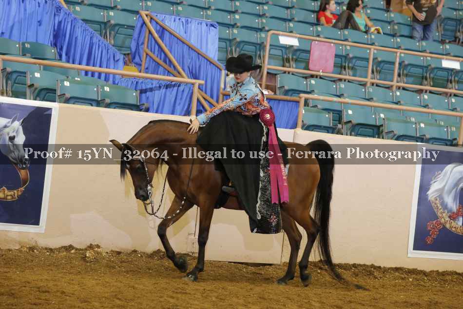 Proof Number 15YN_32064